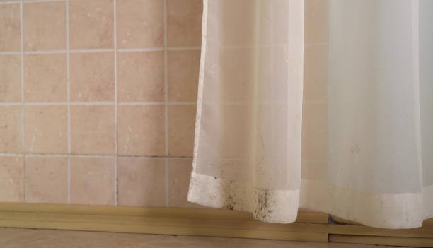 Best Air Quality Testing for Mold Spores  in Danielson, CT