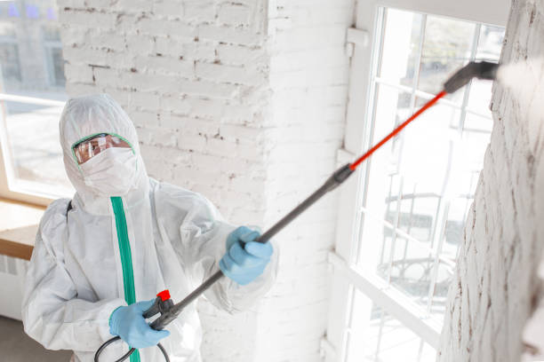 Mold Removal for HVAC Installations in Danielson, CT