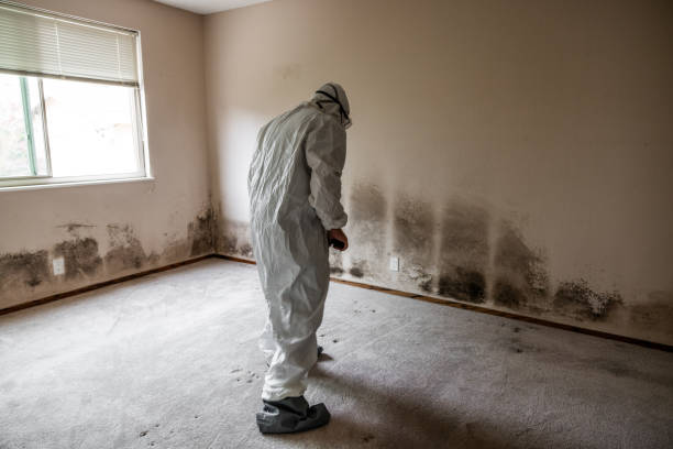 Asbestos and Lead Testing During Mold Inspection in Danielson, CT