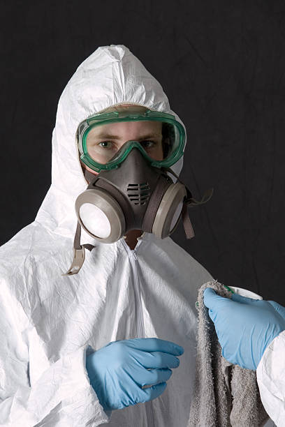 Best Mold-Related Health Consultation  in Danielson, CT